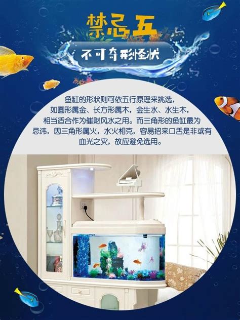 種生基禁忌 魚缸 魚